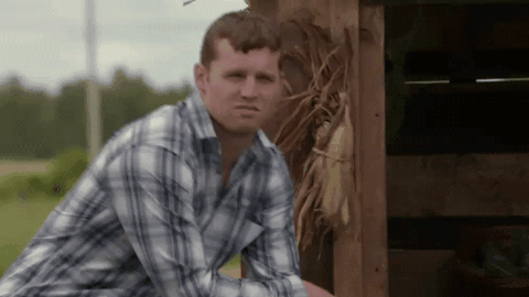 Letterkenny-hard-no GIFs - Get the best GIF on GIPHY