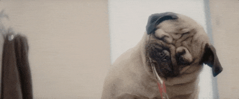 200.gif?cid=fc005b08d1ab65f6acebe184794370db965712116cbb25ea&rid=200.gif&ct=g