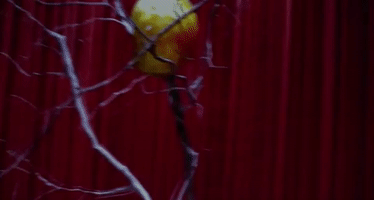 Gubalda twin peaks strange bellsprout GIF