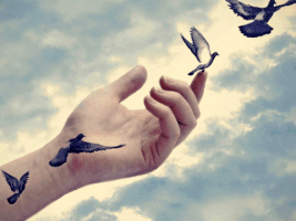 juliefortin merdeka debt free swissindo GIF