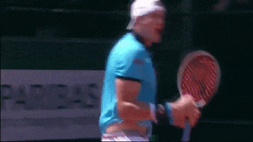 roland garros atp GIF by Tennis Channel