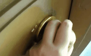 cats who are warmingly welcomming their humans GIF