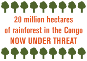 rainforestdefender climate norway corruption congo GIF