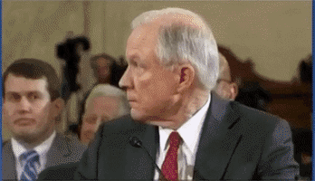 Meme gif. Sequence of people and animals whipping their heads around in shock, including Jeff Sessions, a black dog, a football coach, a cat, and a ferret.