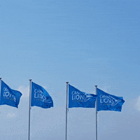 flags seaside GIF by Cannes Lions