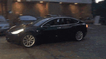shifterpt  GIF