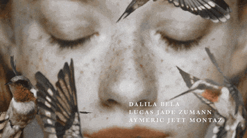 Title Sequence Netflix GIF by Art of the Title