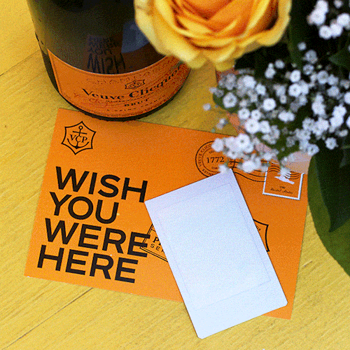 Wish You Were Here GIF by Chandelier Creative
