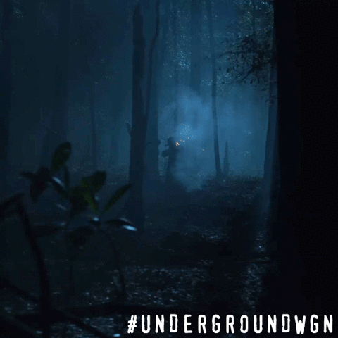 Wgn America Drama GIF by Underground