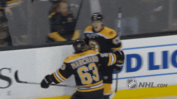 boston bruins hug GIF by NHL