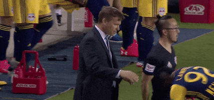 Major League Soccer Mls GIF by New York Red Bulls