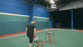 box jump plyo workout GIF by Hockey Training