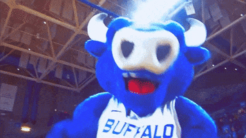 game day Let&#39;s Go GIF by ubuffalo