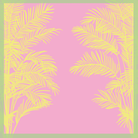 sonideromandril party brasil cumbia perreo GIF