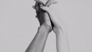 200.gif?cid=fc005b0840f0ba6893f3effd6f1145991d48facd40c18700&rid=200.gif&ct=g
