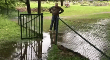 DailySocial man falling trying to save shoes GIF