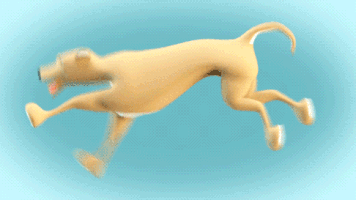 Dog Running GIF by Pablo Lopez - Find & Share on GIPHY