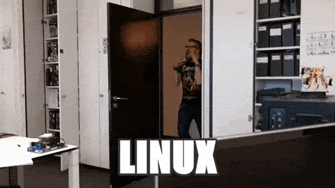 - Find & Share on GIPHY