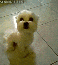 medob  GIF