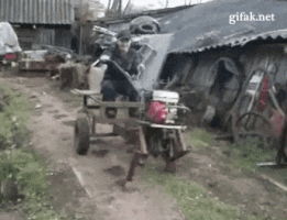 andrehilton  GIF
