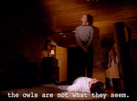 season 2 owl GIF by Twin Peaks on Showtime