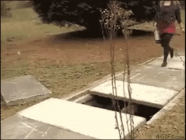 memories  GIF