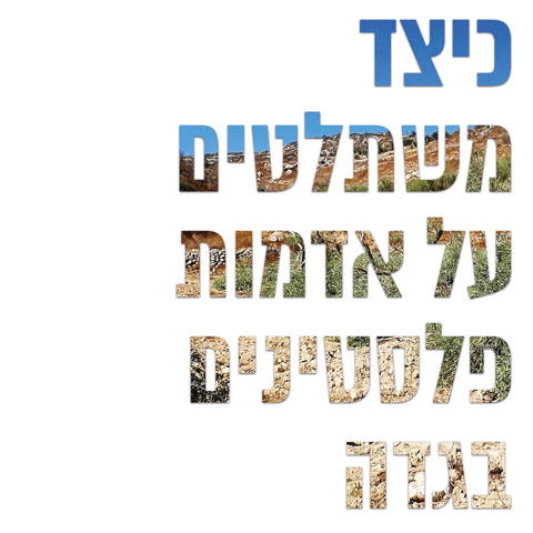 RABBIS4HR human rights rabbis for human rights GIF