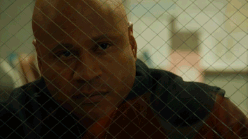 200.gif?cid=fc005b08227d531e93e078a63df87fd230c6ca3d0115b724&rid=200.gif&ct=g