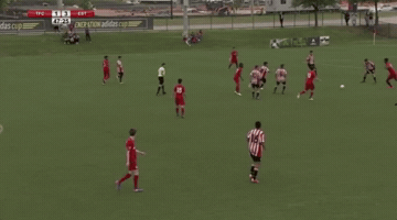 adamtfc  GIF
