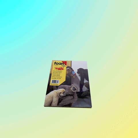 Foam  GIF
