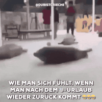 200.gif?cid=fc005b0849ecf5583c2fa3637542ee6f60ffb9b9c372f8e1&rid=200.gif&ct=g