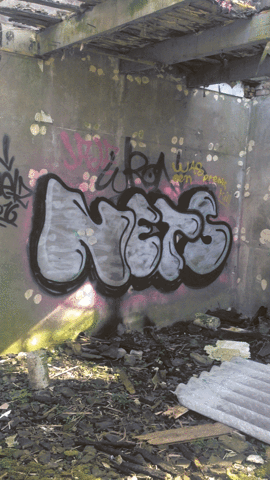 Ruwmantisch urbex ruwmantisch GIF