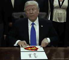 raphaelaalves23  GIF