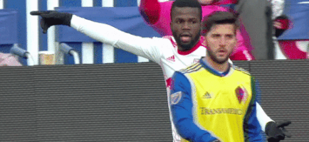 red bulls GIF by New York Red Bulls