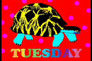 Digital art gif. Black, yellow, and cyan blue turtle is shaking vigorously as if dancing to electronic music against a red background with flashing rainbow polka dots. Text, "Tuesday Trance."