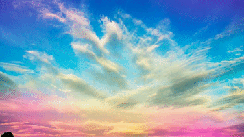 QuirkyPictures  GIF