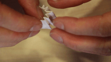 Zamnesia cannabis filter joint tip GIF
