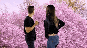 Cherry Blossoms Spring GIF by reactionseditor