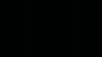 sid713  GIF