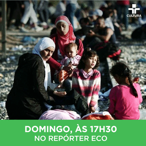 conteudointernet  GIF