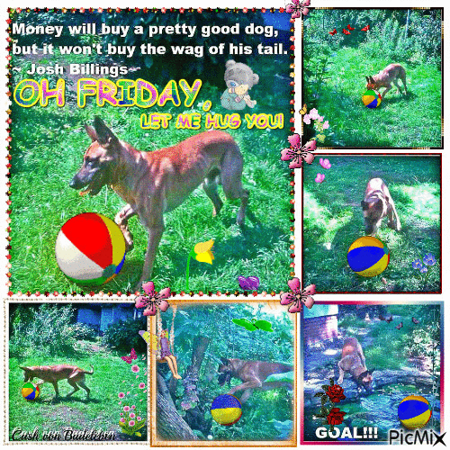 cashvonbadeleben love dog hug friday GIF