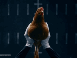 hayesface  GIF