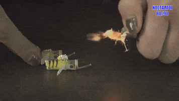 chriscraft  GIF