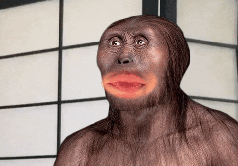 Australopithecus meme gif