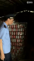 china beer GIF by Mashable