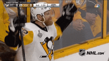 pittsburgh penguins patrick hornqvist GIF by NHL