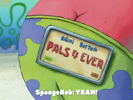 season 4 driven to tears GIF by SpongeBob SquarePants
