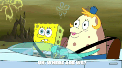 season 9 little yellow book GIF by SpongeBob SquarePants