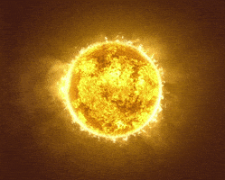 sun GIF by Feist