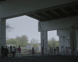 Century GIF by Feist